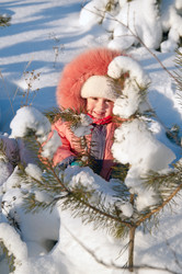 Similar image 709472