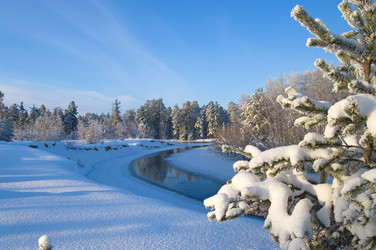 Similar image 709487