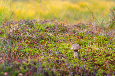 Similar image 709488