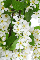 Similar image 709489