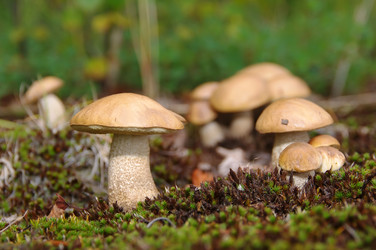 Similar image 709490