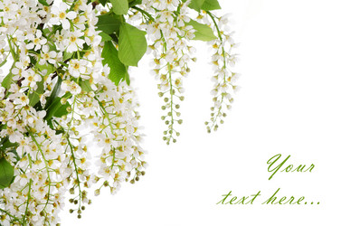 Similar image 709491