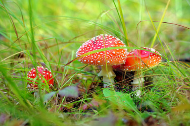 Similar image 709492