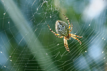 Similar image 709497