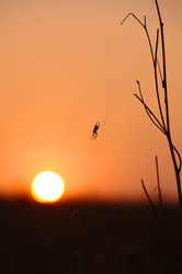 Similar image 709498