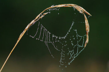 Similar image 709500