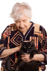 Similar image 709563