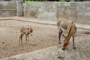 Similar image 709577