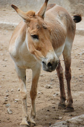 Similar image 709578