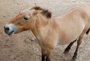 Similar image 709579