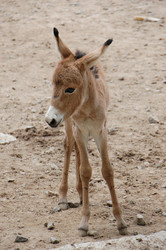 Similar image 709580