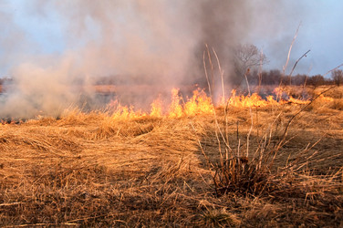 Similar image 709606