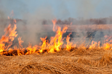 Similar image 709609