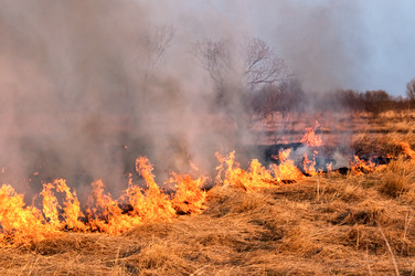 Similar image 709610