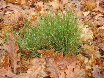 Similar image 709645