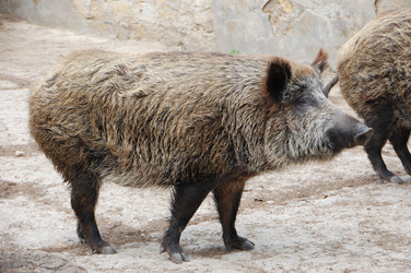 Similar image 709653