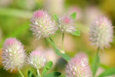 Similar image 709669