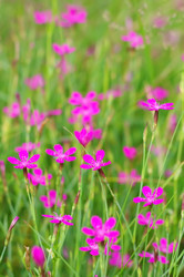 Similar image 709670