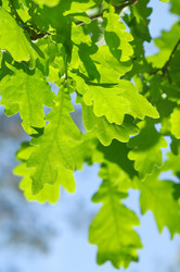 Similar image 709678