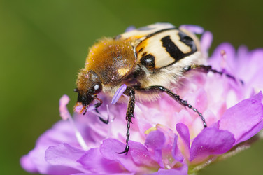 Similar image 709685