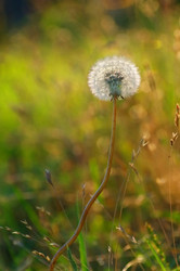 Similar image 709687