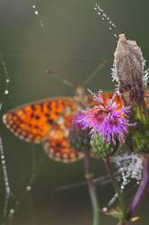 Similar image 709688