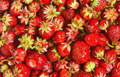 Similar image 709696