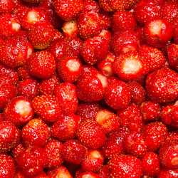 Similar image 709697