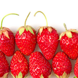 Similar image 709698