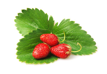 Similar image 709701