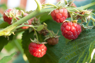 Similar image 709710