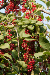 Similar image 709714