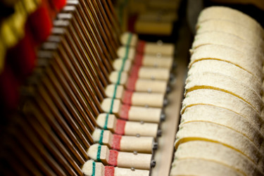 Similar image 709723