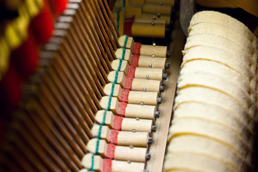 Similar image 709724