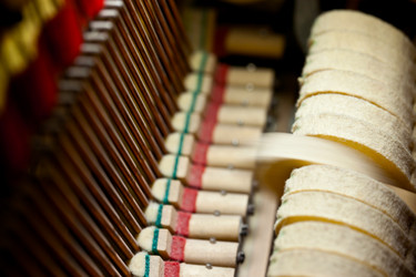 Similar image 709725