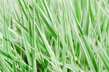 Similar image 709727