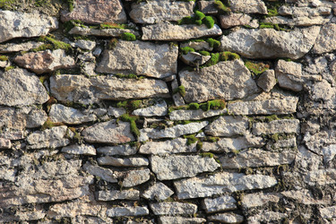 Similar image 709795