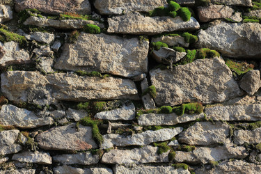 Similar image 709798