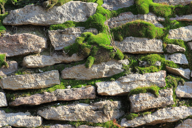 Similar image 709799