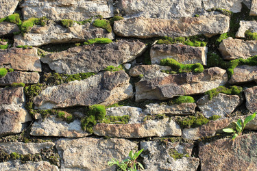 Similar image 709800