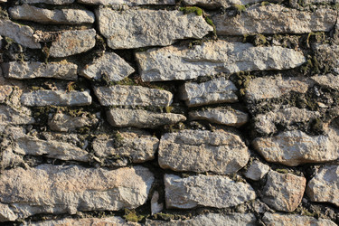 Similar image 709802