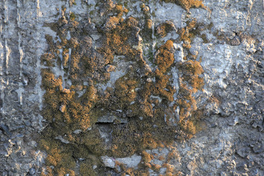 Similar image 709819