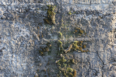 Similar image 709822