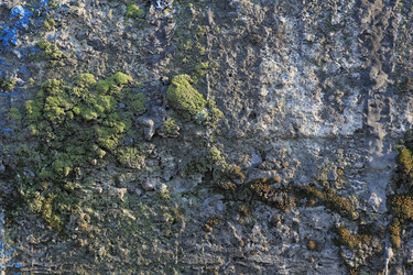 Similar image 709824