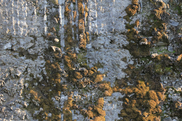 Similar image 709825