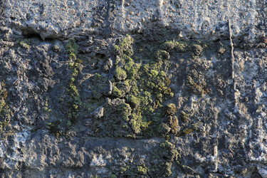 Similar image 709826