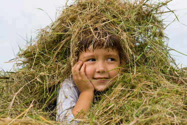 Similar image 709827