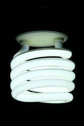 Similar image 709843