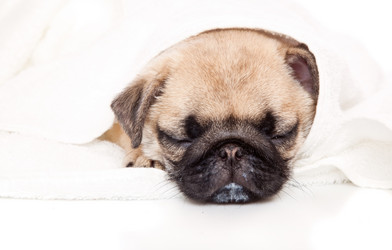 Similar image 709857