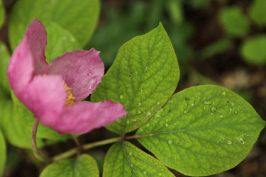 Similar image 709884